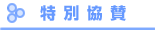 ���ʋ��^�e��